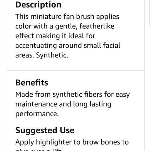 Japonesque Eye Highlighter Fan Brush  9 0088 - Picture 4 of 7